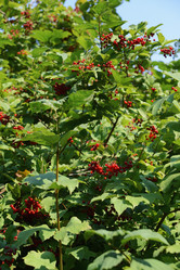 Similar image 21109524