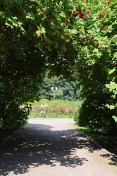 Similar image 21111415