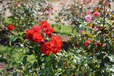 Similar image 21111418