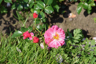 Similar image 21111419