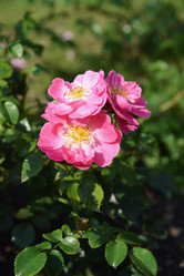 Similar image 21111420