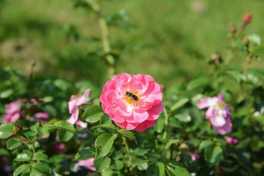 Similar image 21111421