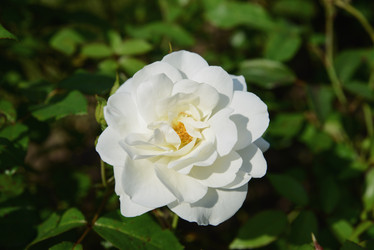 Similar image 21112395