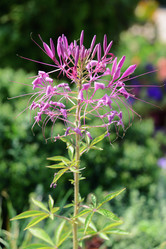 Similar image 21113222