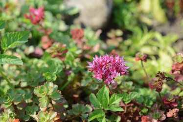 Similar image 21114199