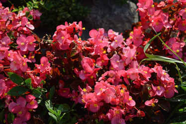 Similar image 21115209