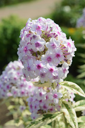 Similar image 21115555