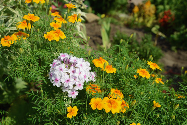 Similar image 21116749