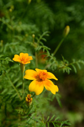 Similar image 21119214