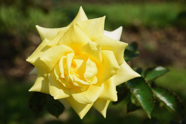 Similar image 21121396