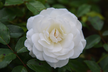 Similar image 21123827