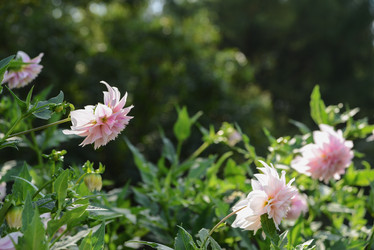 Similar image 21123828