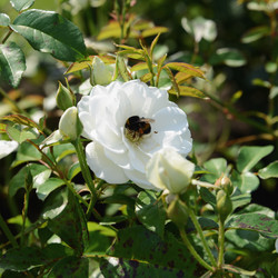 Similar image 21127755