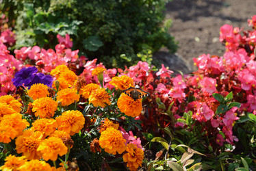 Similar image 21128290