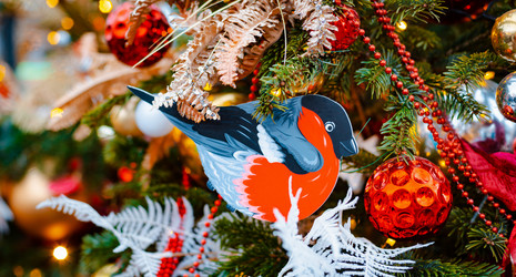 Similar image 21089061