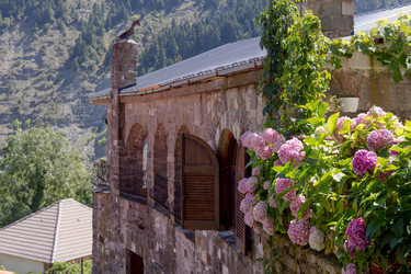 Similar image 21079571