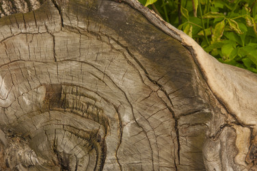 Similar image 21089111