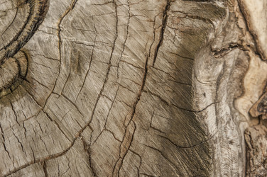 Similar image 21089286