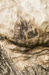 Similar image 21089287