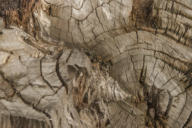 Similar image 21089288