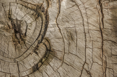 Similar image 21089289