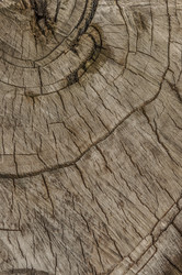 Similar image 21089291