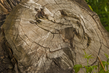 Similar image 21089292