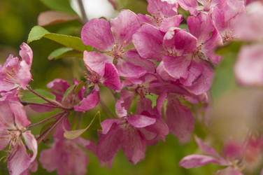 Similar image 21089294