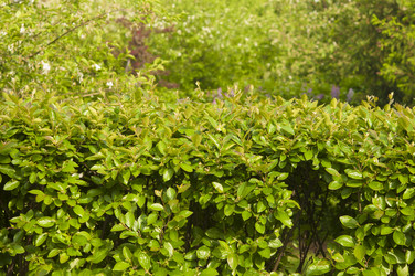 Similar image 21089295