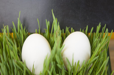 Similar image 21089296