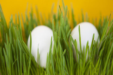 Similar image 21089297