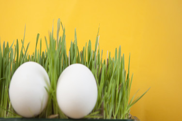 Similar image 21089298