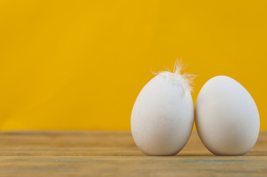 Similar image 21089300