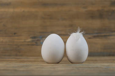 Similar image 21089301