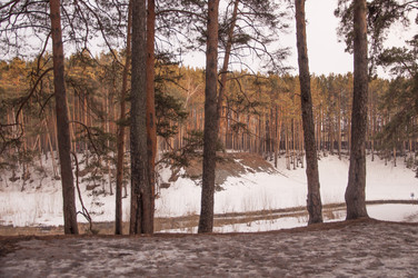 Similar image 21089964