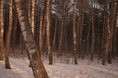 Similar image 21089966