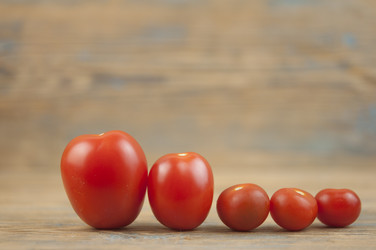 Similar image 21089967