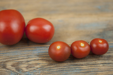 Similar image 21089968