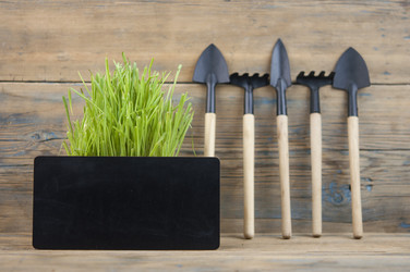 Similar image 21089972