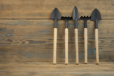 Similar image 21089973