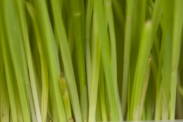 Similar image 21089974