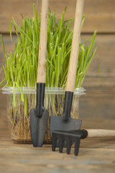 Similar image 21089978