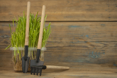 Similar image 21089979