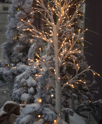 Similar image 21089312