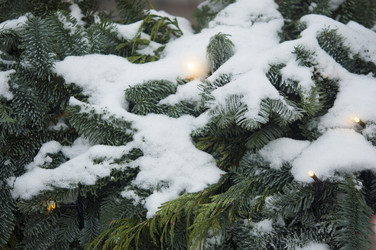 Similar image 21089320