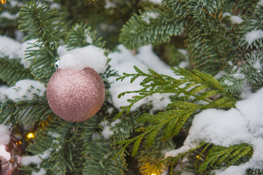 Similar image 21089321