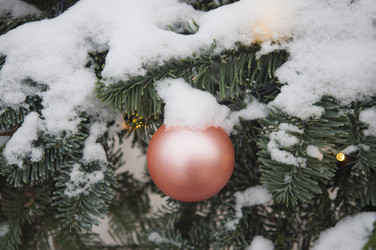 Similar image 21089322