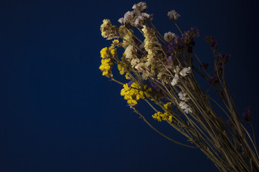 Similar image 21081892