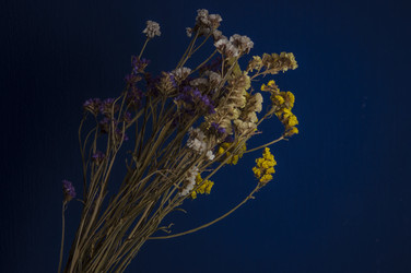 Similar image 21081893