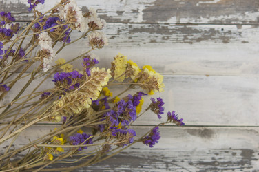 Similar image 21084664